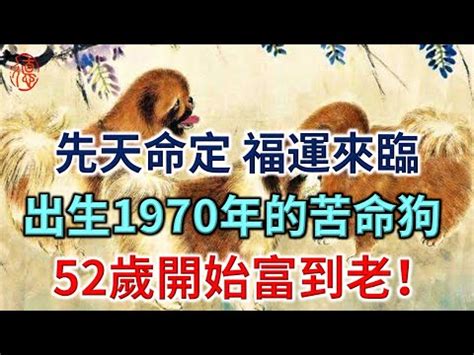 1970 狗 五行|屬狗人必看：1970五行解析